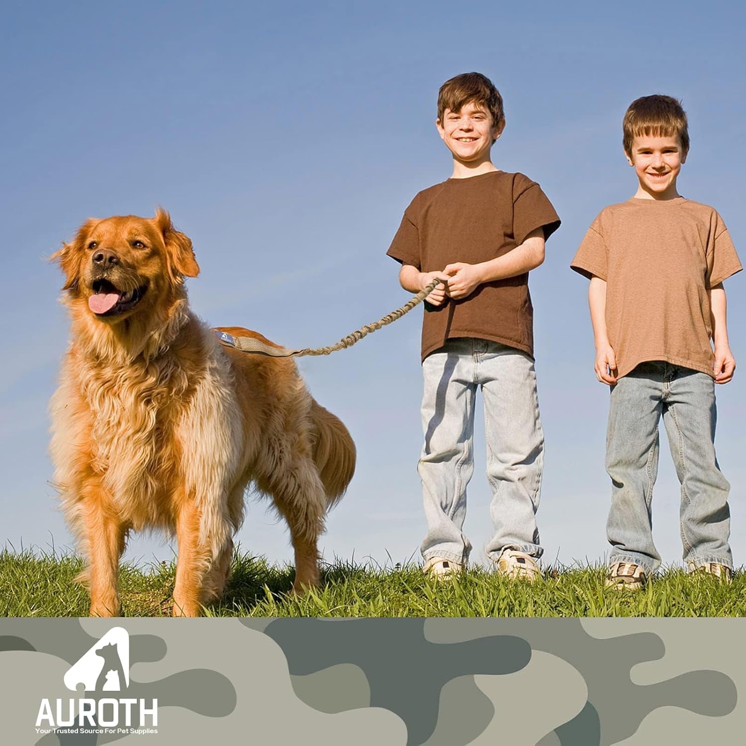 No-Pull Bungee Dog Leash with Seat Belt