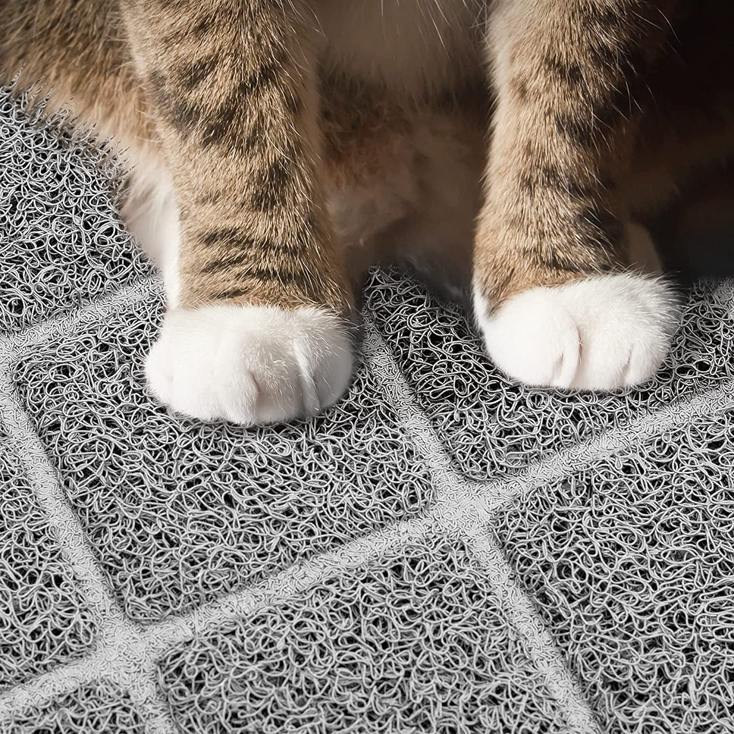 Waterproof Non-Slip Cat Litter Mat