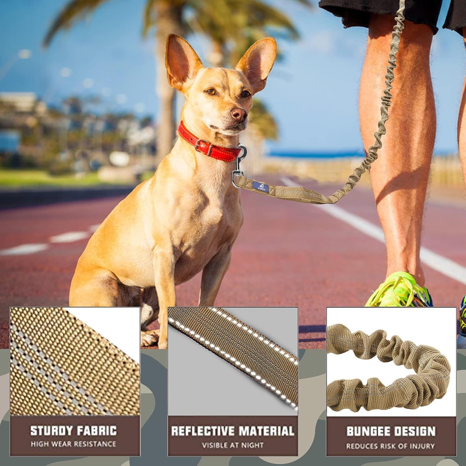 No-Pull Bungee Dog Leash with Seat Belt