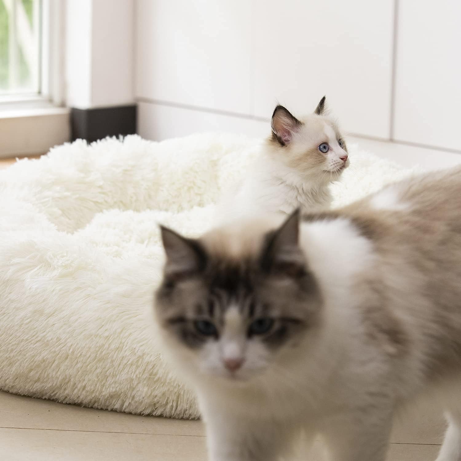 Fluffy Anti-Anxiety Pet Bed
