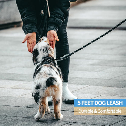 2/4/5/6 FT Dog Leash with Comfortable Padded Handle and Highly Reflective Threads for Small Medium and Large Dogs (5FT-1/2&