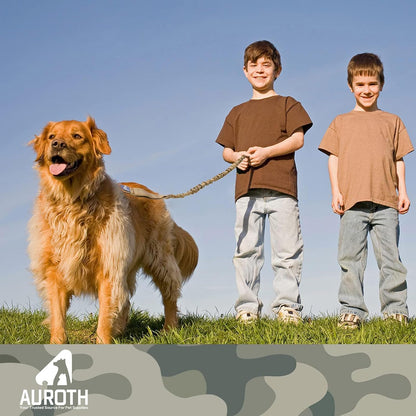 No-Pull Bungee Dog Leash with Seat Belt