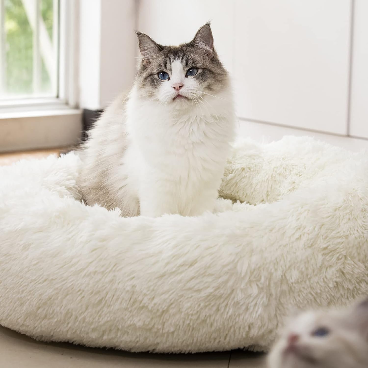 Fluffy Anti-Anxiety Pet Bed