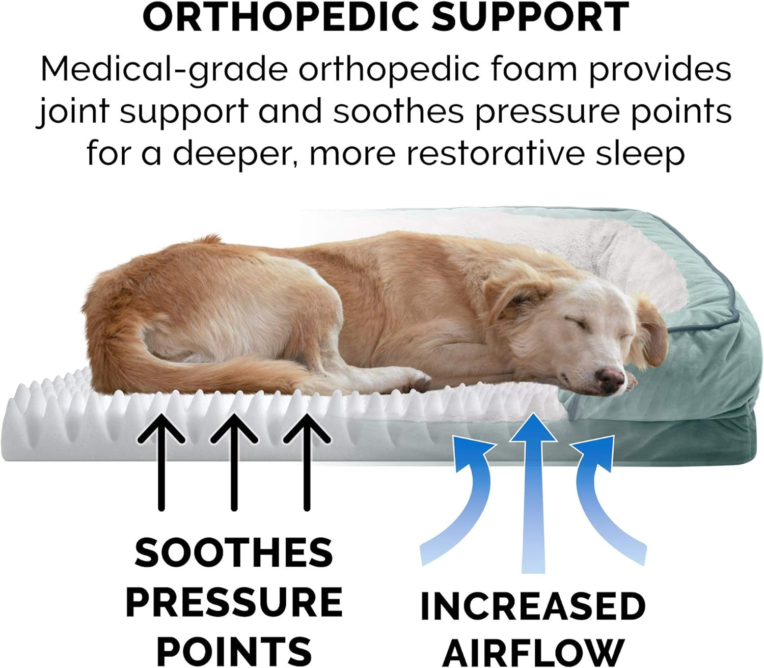 Small Orthopedic Dog Sofa Bed
