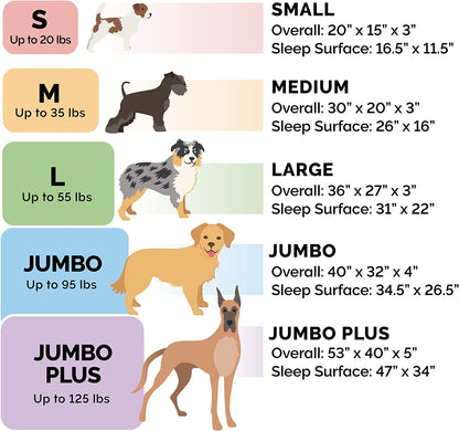 Small Orthopedic Dog Sofa Bed