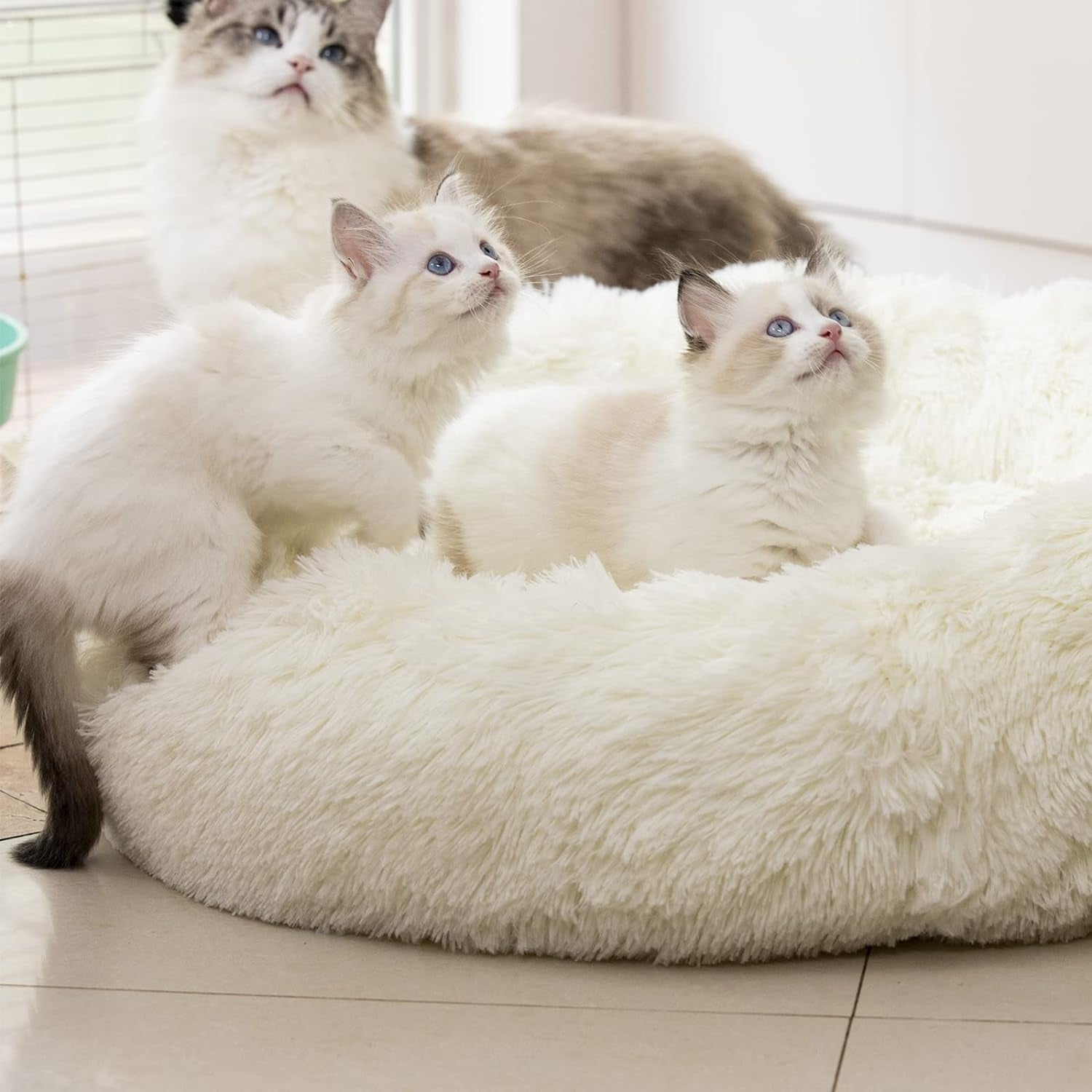 Fluffy Anti-Anxiety Pet Bed