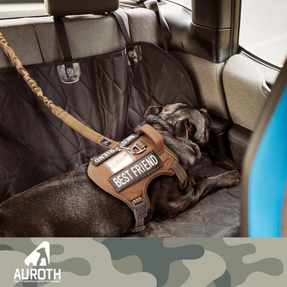 No-Pull Bungee Dog Leash with Seat Belt