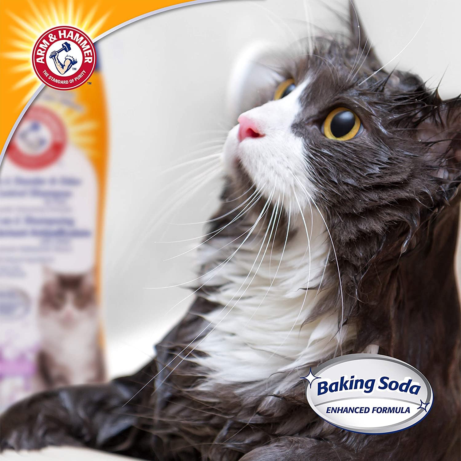 Cat Dander &amp; Odor Control Shampoo